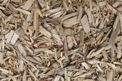 biomass boilers Portormin