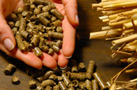 free Portormin biomass boiler quotes